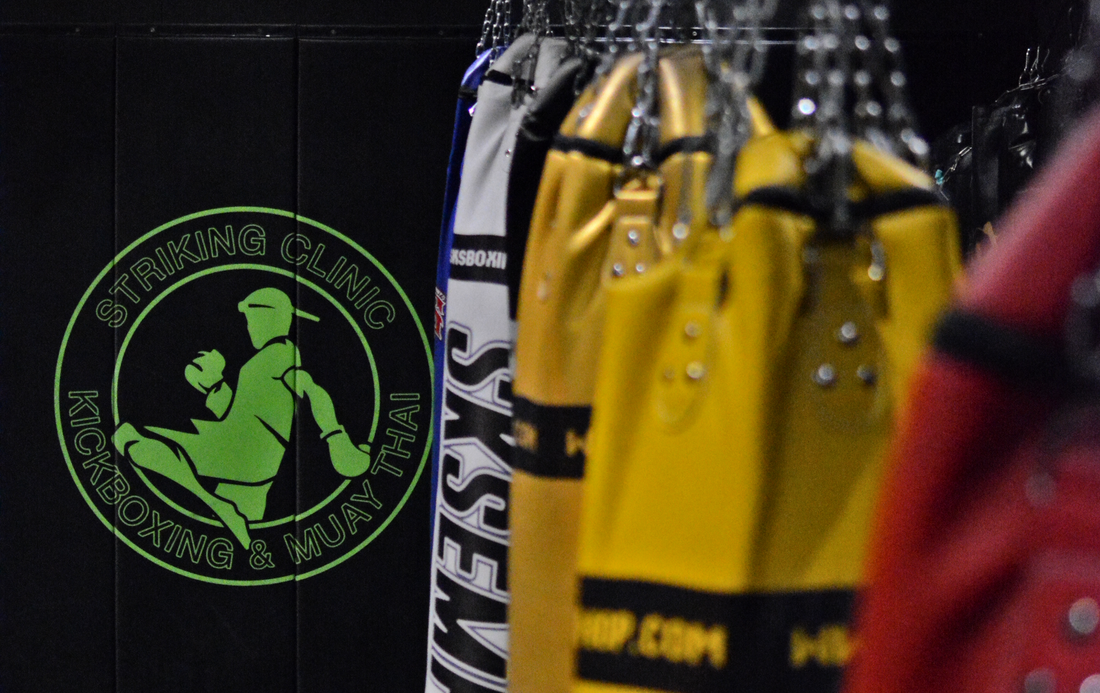 heavy bags in striking clinic gym