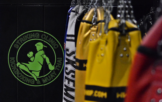 heavy bags in striking clinic gym